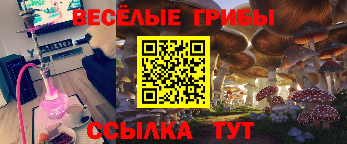 Сухой Лог  Галлюциногенные грибы прущие грибы  Вход с VPN  Галлюциногенные грибы прущие грибы 